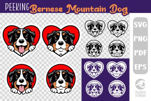 Valentine's Peeking Bernese Clipart: Graphics & Freebies